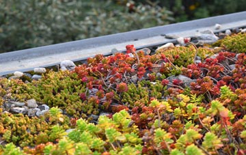 the cost of Bannvale green roof installation