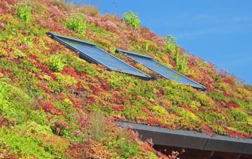 Bannvale living roof systems