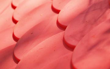 Bannvale plastic roof costs