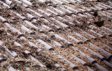 Bannvale roof cleaning companies