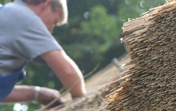 professional Bannvale thatchers