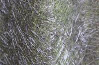 Bannvale fibreglass roof work