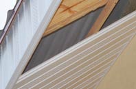 rated Bannvale soffit repair companies